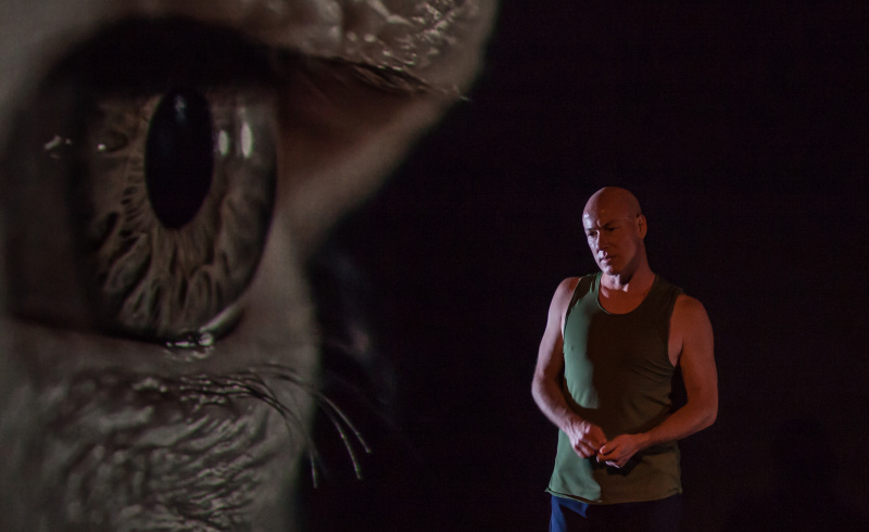 Blood on the Dance Floor, a performance by Jacob Boehme. Photo: Bryony Jackson