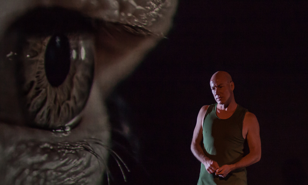 Blood on the Dance Floor, a performance by Jacob Boehme. Photo: Bryony Jackson